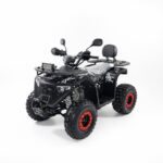 კვადროციკლი 125cc Hamer / ავტომატური / რკინის დისკებით - Image 3